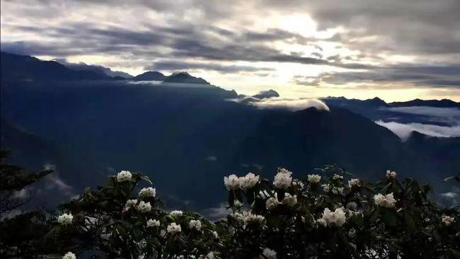 探索奇妙世界,尽在今川义元没死之前,德川家康在今川家什么地位,为什么今川义元死后他有实力搞独立蜗牛问答平台!