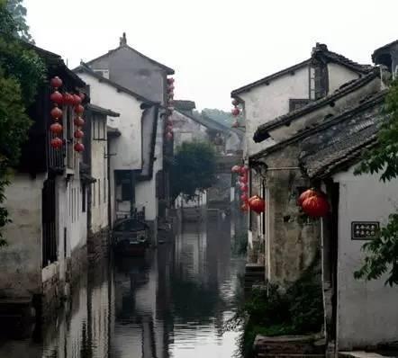 蜂王救援